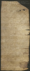 155 E.2.CXXXIXv, Investitura fatta dal Capitolo a favore dei fratelli Bonizone e Bellomo da Montale, Modena, [1150-1552, mar. 22,25,31]